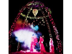 干冰的效果与展示5