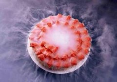 干冰的食品应用1